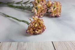 Minikek Szálas művirág dekoráció szegfű világos cirmos