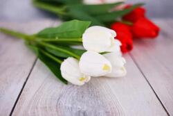 Minikek Tulipán csokor 5 szálas, fehér - 30cm