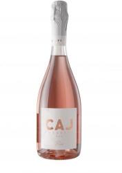 CAJ Prosecco DOC Rose (КАЙ Просеко Розе) 0.75л