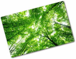 Wallmuralia. hu Üveg vágódeszka Zöld erdő 2x40x52 cm