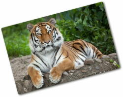  Wallmuralia. hu Üveg vágódeszka Szibériai tigris 80x52 cm