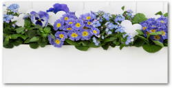 Wallmuralia. hu Egyedi üvegkép Kék virágok 100x50 cm 4 fogantyú
