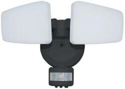 NEDES LED Kültéri reflektor érzékelővel LED/24W/230V 3000/4000/6000K IP54 fekete ND3873 (ND3873)