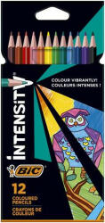 BIC Színes ceruza készlet, háromszögletű, BIC "Intensity Up", 12 különböző szín (BC9505273) - bestoffice