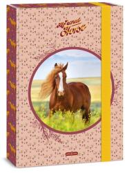 Ars Una My Sweet Horse A/4 füzetbox (50853588) (50853588)