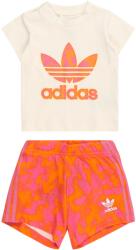 Adidas Originals Szettek narancs, Méret 68