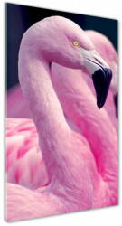  Wallmuralia. hu Akrilkép Flamingók 60x120 cm 4 fogantyú