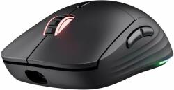 Trust GXT 927 (25127) Mouse