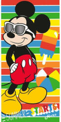 Kids Licensing Mickey Summer (EWA235MK)