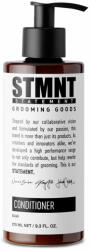 STMNT Statement Grooming Goods STMNT Grooming Goods Balsam Pentru Păr Si Barbă 275ml