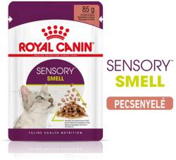 Royal Canin Sensory Smell Gravy 12x85g - szószos nedves táp felnőtt macskák részére - grandopet