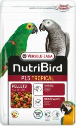 Versele-Laga Hrana Versele-Laga NutriBird P15 Papagal tropical mare 1kg (7202-422036)