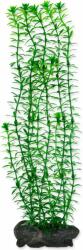 TETRA Decorat Tetra Plant Anacharis L 30cm (A1-270503)