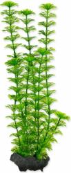 TETRA Decorat Tetra Plant Ambulia M 23cm (A1-270329)