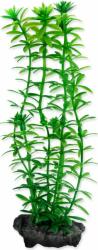 TETRA Decorat Tetra Plant Anacharis S 15cm (A1-270176)