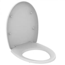Ideal Standard Capac wc Ideal Standard Vidima SevaDuo cu balamale din plastic (W301301)