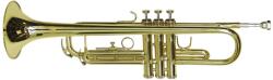 Thunder Germany Germany TP-10 Bb trombita, arany