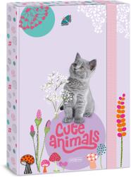 Ars Una Cute Animals-kitten A/4 Füzetbox (50853687) (50853687)