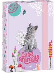 Ars Una Cute Animals-kitten A/5 Füzetbox (50863686) (50863686)