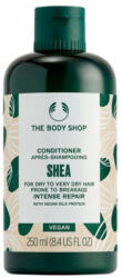 The Body Shop Sheás hajbalzsam (250 ml) - beauty