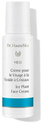 Dr. Hauschka Med Jeges kristályvirág arckrém 40 ml -- készlet erejéig, a termék lejárati ideje: 2025. májusa
