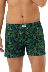 Italian Fashion Boxeri pentru bărbați Chill verde-negru, M