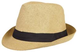  Pălărie pentru vară Elegant (Pălărie de vară pentru damă și) (0411E5)