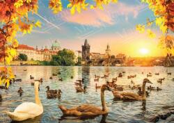 Magnolia - Puzzle Lebedele lângă Podul Carol - 1 000 piese