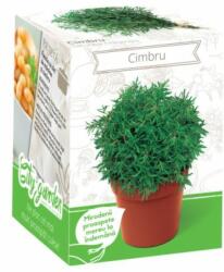 Yurta Kit Plante Aromatice Cimbru (HCTA01828)