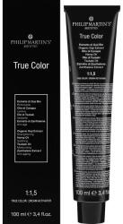Philip Martin's Farba do włosów - Philip Martin's True Color 9.22 - Silver Tonalizer