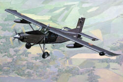 Roden Pilatus PC-6 B2/H4 Turbo Porter 1: 48 (449)