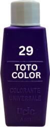 Casati Color Totocolor Violetto T29 15ml
