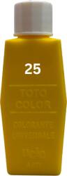 Casati Color Totocolor Giallo Oro T25 15ml