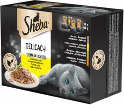 Sheba Sheba pliculeț selecție de carne în gelatină 12 x 85g
