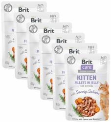 Brit Brit Care Cat Kitten Fillets in Jelly with Savory Salmon 6 x 85 g