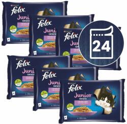 FELIX FELIX Junior Fantastic pliculețe, selecție delicioasă în gelatină 24 x 85 g