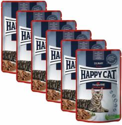 Happy Cat Happy Cat CARNE DE CARNE ÎN SAUCE Culinar Voralpen-Rind / Carne de vită, 6 x 85 g