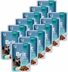 Brit Pliculeț BRIT Premium Cat Delicate Fileuri în sos cu Vită 12 x 85 g