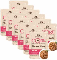 Wellness Core Wellness CORE Tender Cuts somon & ton 12 x 85 g