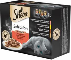 Sheba Sheba pliculețe selecție delicioasă 12 x 85g