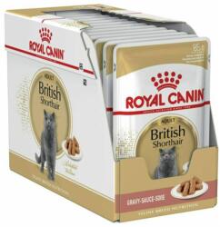 Royal Canin ROYAL CANIN British Shorthair Pliculeț - 12 x 85g
