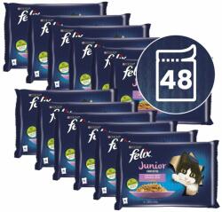 FELIX FELIX Junior Fantastic pliculețe, selecție delicioasă în gelatină 48 x 85 g