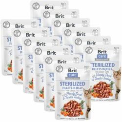 Brit Brit Care Cat Sterilized Fillets in Jelly with Hearty Duck & Tender Turkey 12 x 85 g