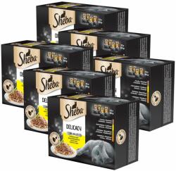 Sheba Sheba pliculeț selecție de carne în gelatină 6 x (12 x 85g)