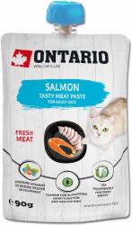 ONTARIO Ontario Cat Pastă gustoasă de carne de somon 90 g