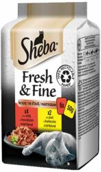 Sheba Sheba Fresh & Fine pungi pentru pisici, pui și carne de vită 6 x 50 g