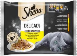 Sheba Sheba Delicacy Selecție de pungi din păsări de curte 4 x 85 g