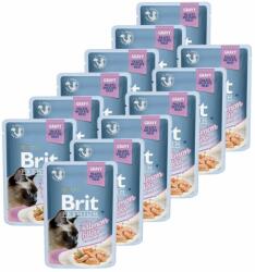 Brit Pliculeț BRIT Premium Cat Delicate Fillets in Gravy with Salmon for Sterilised 12 x 85 g