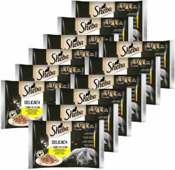 Sheba Sheba Delicacy Selecție de pungi din păsări de curte 12 x (4 x 85 g)