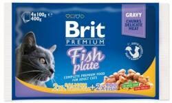 Brit Pliculeț BRIT Premium Cat Fish Plate 4 x 100 g